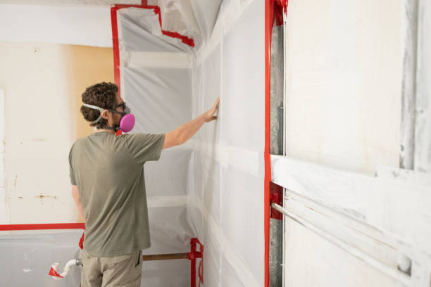 Best Forensic Mold Investigation  in Angels, CA
