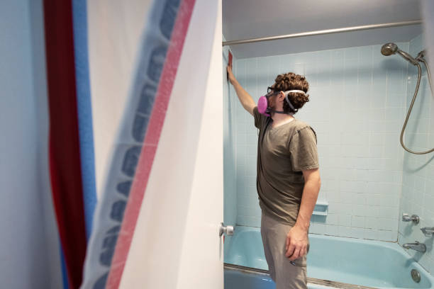 Best Comprehensive Air Testing for Mold Contaminants  in Angels, CA