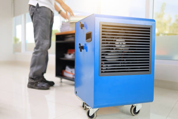 Best Mold Prevention Services  in Angels, CA